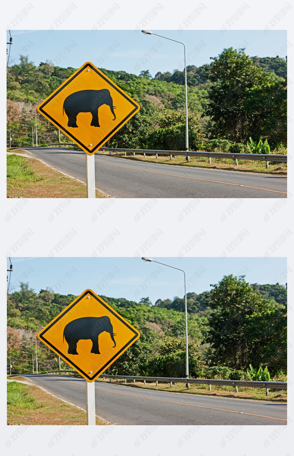 原创大象道路标志版权可商用