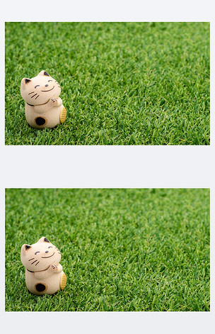 招财猫上草留下祈祷