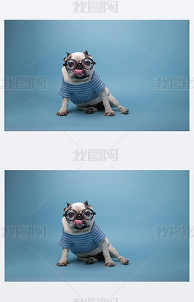 Funny French bulldog with a bottle ass pasta glasses and jersey with his tongue out