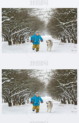 boy running away from dogs or husky outdoors in winter day