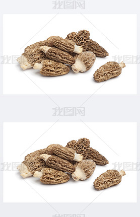 Fresh raw Morel mushrooms