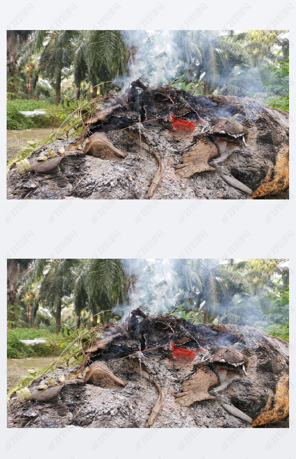 tree trunk burning up in oke 