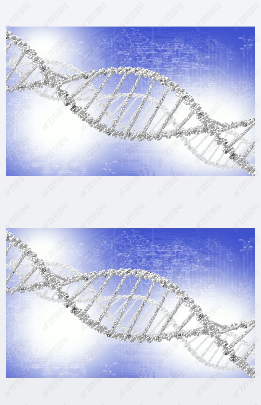 dna ṹĲɫ