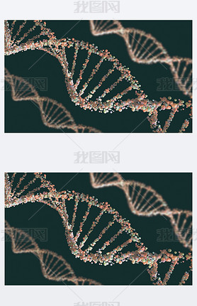 Dna ṹ