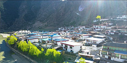4K航拍唯美藏村寨民居胡杨树