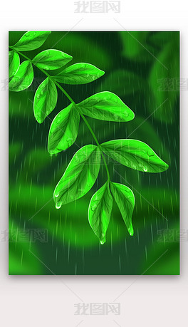 自然风光树叶雨水绿色唯美写实插画下雨背景素材