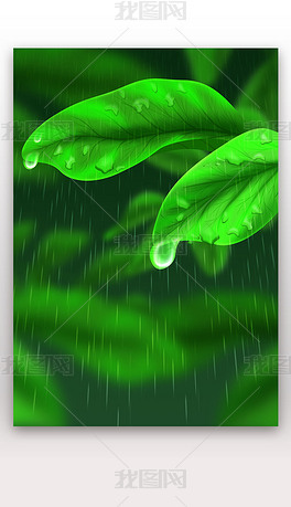 自然风光树叶雨水绿色唯美写实插画下雨背景素材