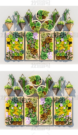 现代植物墙植物挂件