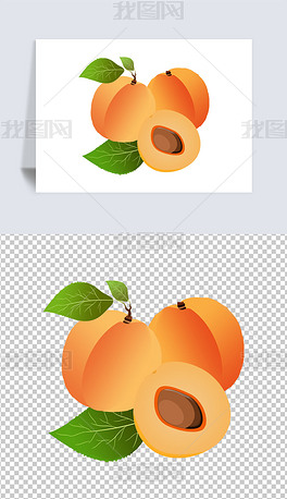手绘杏子水果免扣图元素