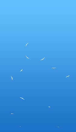 天空背景图片创意背景|简洁天空蓝色飞鸟背景