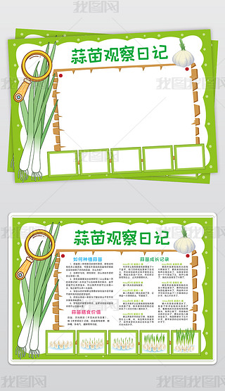 观察日记植物生长小报大蒜蒜苗生长过程手抄报