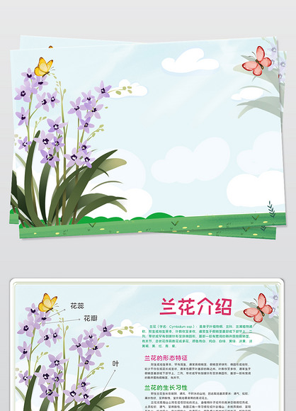 卡通兰花手抄报植物生长电子小报线稿涂色模板