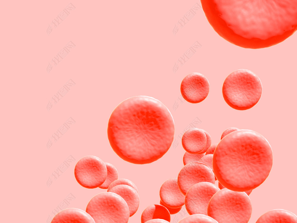 3D红细胞模型