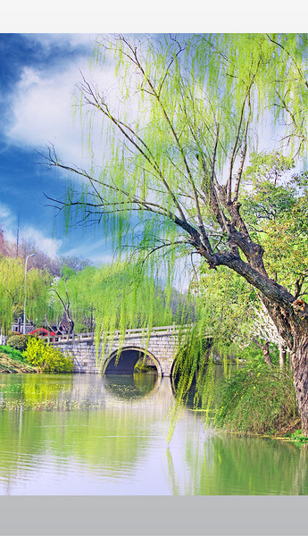 瘦西湖大虹桥下载-编号26754721-自然风景-我图网