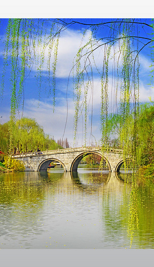 瘦西湖大虹桥下载-编号26754740-自然风景-我图网