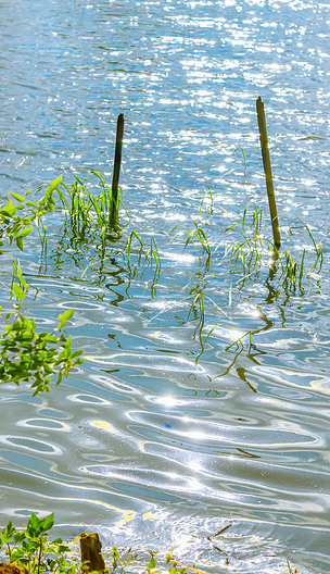 波光粼粼的湖面摄影自然风光照片