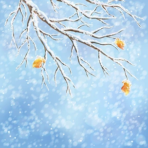 冬天背景与积雪冰冻的树早午餐，去年秋天的叶子，降雪蓝散景的背景上。降雪天气矢量设计。圣诞冬季风景贺卡