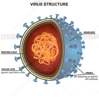 Blue virus cells or bacteria on white background. Isolated vector illustration