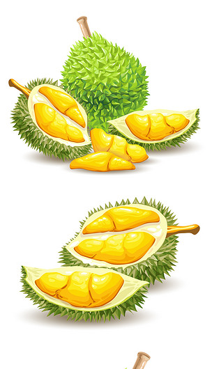 手绘榴莲水果矢量素材水果元素组合矢量图