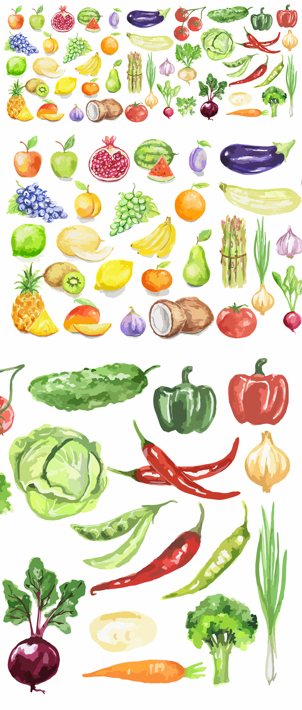 山东莘县：订单芹菜种出好“钱”景