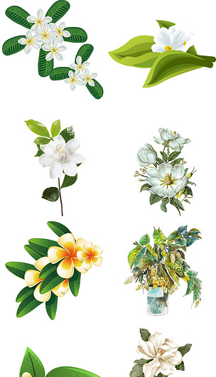 手绘卡通栀子花png图片素材