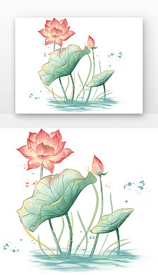 手绘荷花图