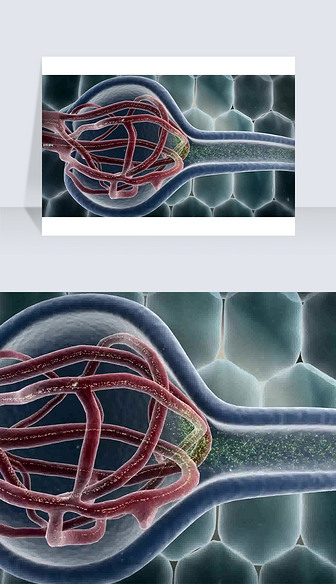 3D医疗视频截图血管细胞皮肤美容