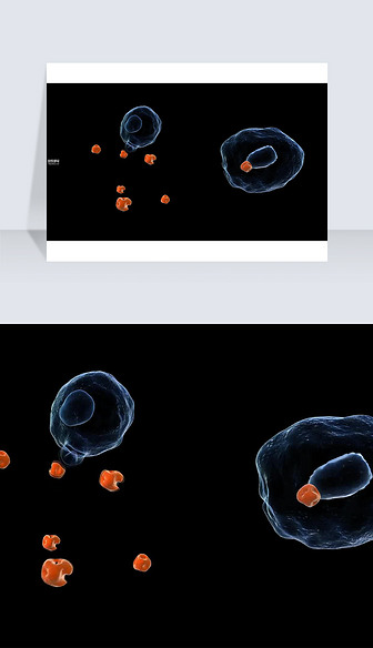 3D医疗视频截图吞噬细胞