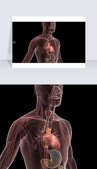 3D医疗视频药物通过胃部释放到全身截图