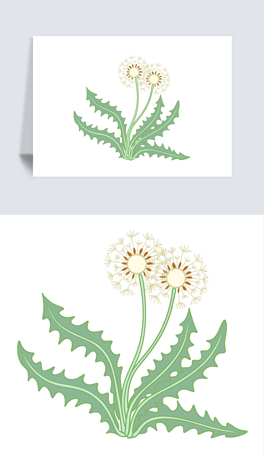 蒲公英简笔画卡通