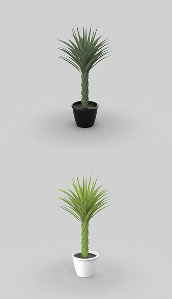 盆景植物3D模型