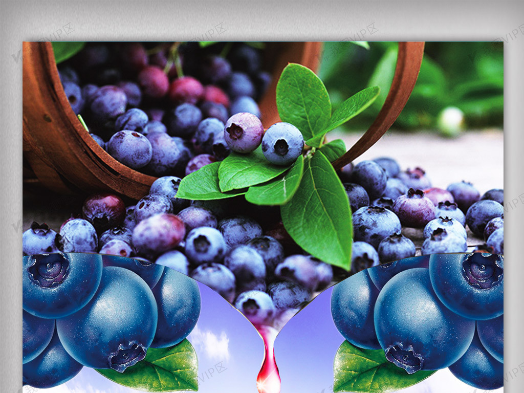 广告设计 海报设计 餐饮海报 新鲜蓝莓海报设计.