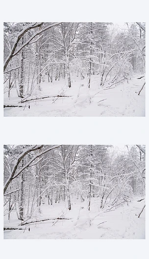 雪山雪景树林下雪
