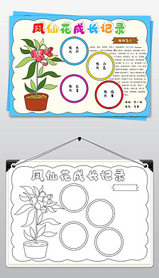 植物生长记录手抄报凤仙花生长记手抄报设计模板