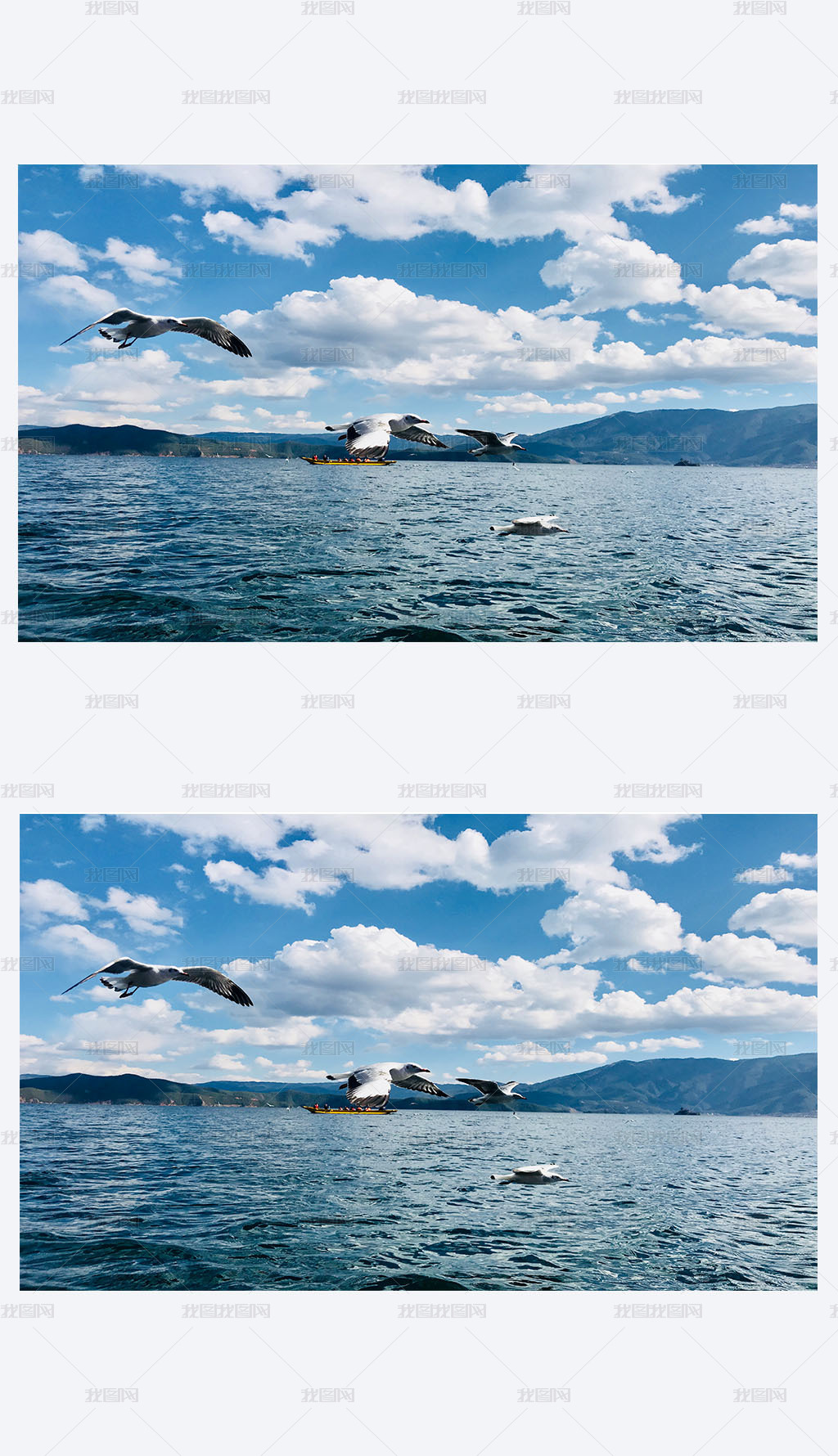 泸沽湖 背景 自然风景 摄影 动物写真 壁纸图片素材模板下载 背景素材 我图网