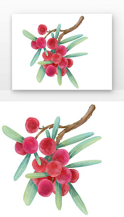 红色水果免抠元素|小暑杨梅红色杨梅水果瓜果果实
