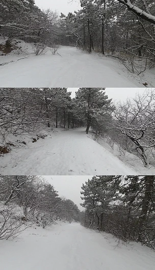 下雪大雪山路穿行4K实拍视频