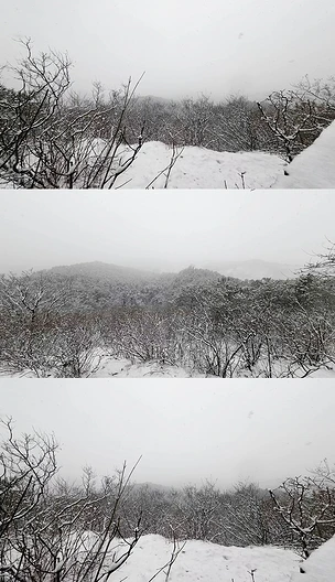 山区下雪场景4K