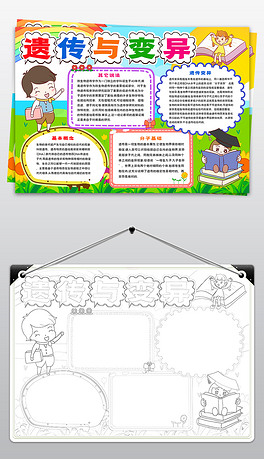 遗传与变异的小报模板图片