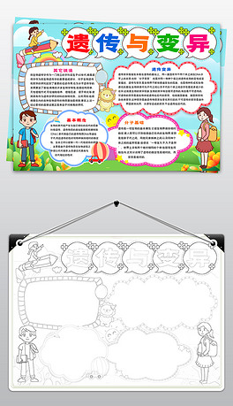 遗传与变异小报模板图片