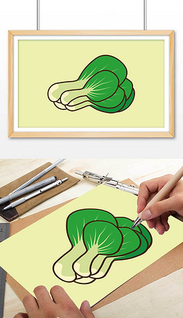 蔬菜上海青插图插画设计