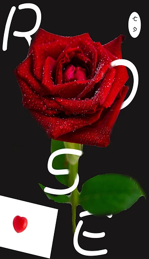 玫瑰浪漫主题七夕主题海报