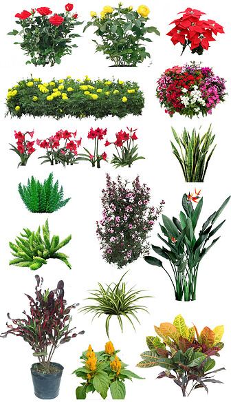室外花卉花箱植物PS素材