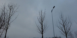冬季雪花马路树木