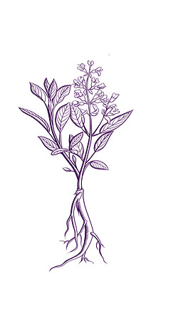 健康元素下载排行榜