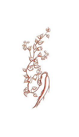 健康元素下载排行榜