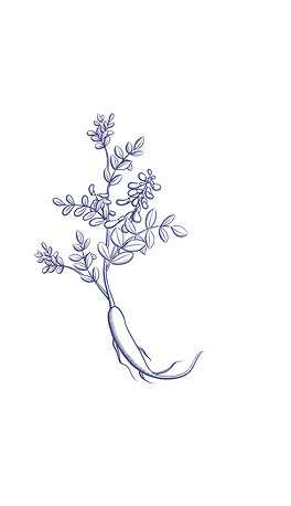 健康元素下载排行榜-我图网