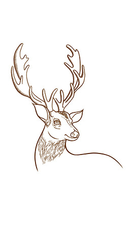 中药鹿茸元素线稿