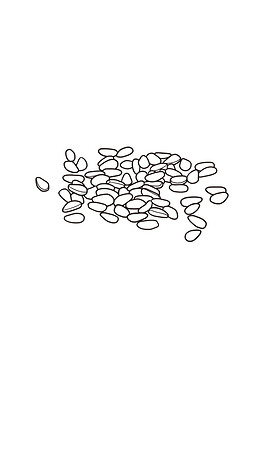 医药黑芝麻元素线稿