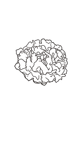 画元素中药鹿茸元素线稿全部排行榜相关排行控制元素视觉元素舞蹈元素